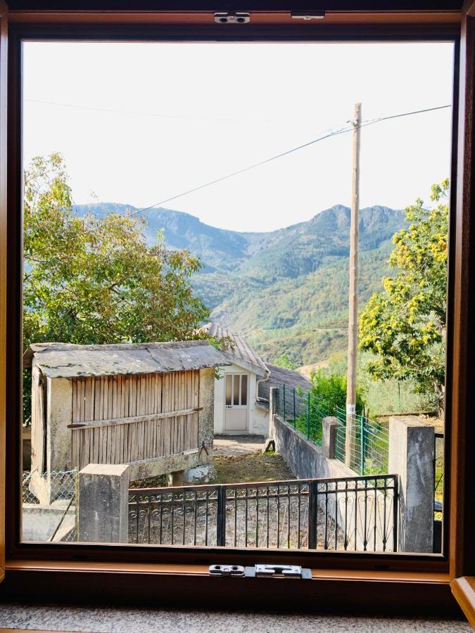 빌라레알 "Casa Do Avo Armindo" Mountain Experience 빌라 외부 사진