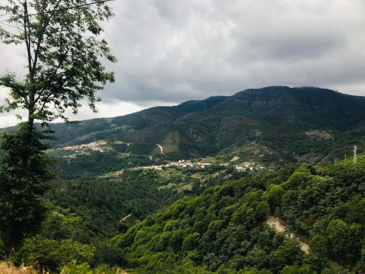 빌라레알 "Casa Do Avo Armindo" Mountain Experience 빌라 외부 사진