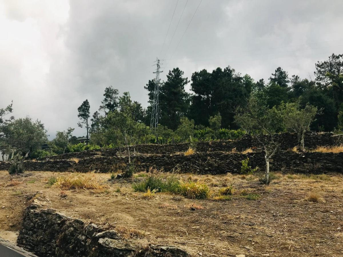 빌라레알 "Casa Do Avo Armindo" Mountain Experience 빌라 외부 사진