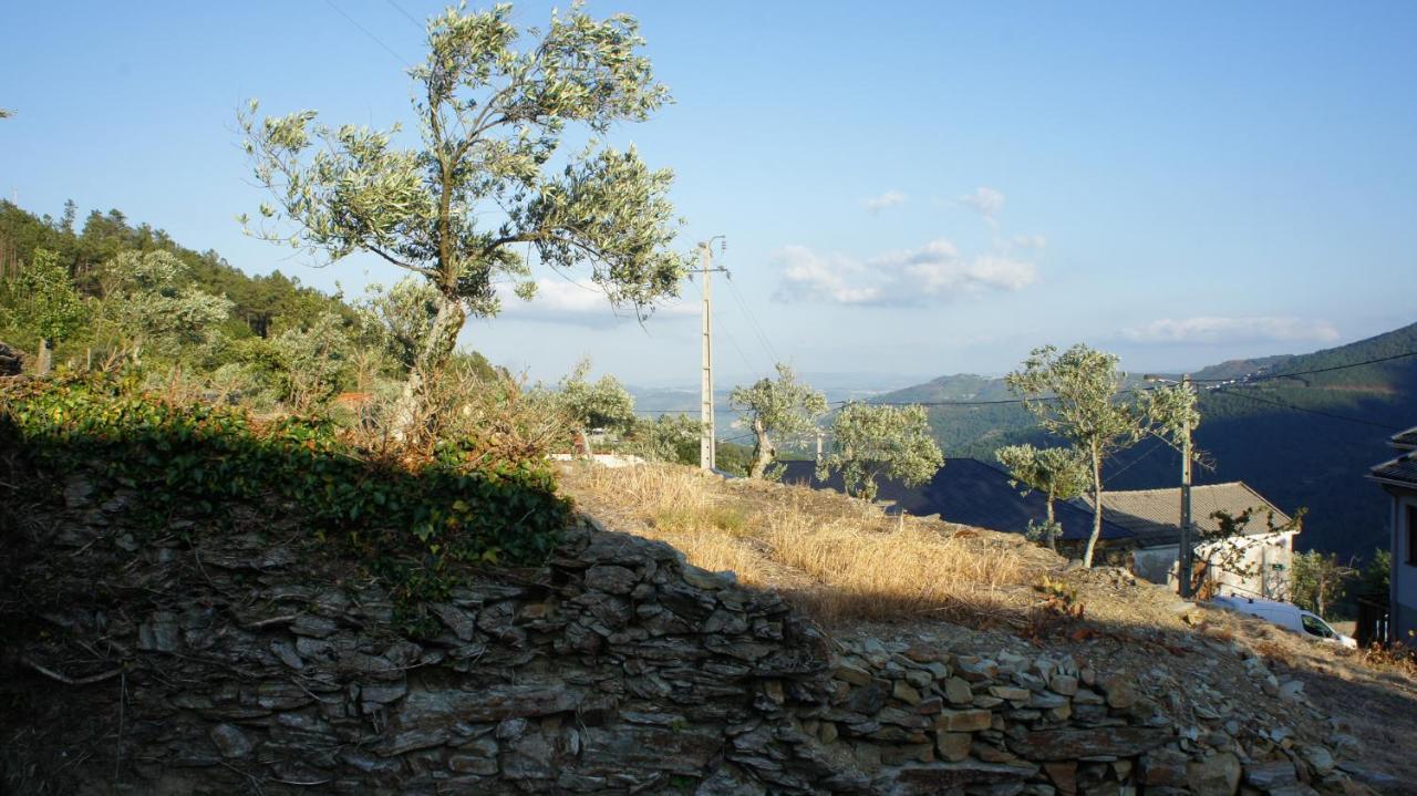 빌라레알 "Casa Do Avo Armindo" Mountain Experience 빌라 외부 사진
